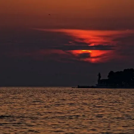 아파트 Nia 자다르